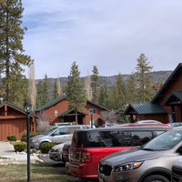 worldmark bear