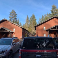worldmark bear