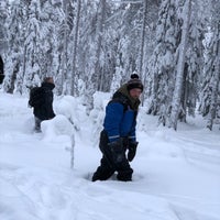 1/29/2019 tarihinde Nancy B.ziyaretçi tarafından Lapland Safaris'de çekilen fotoğraf