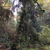 Photo taken at Schmitz Preserve Park by Andrew O. on 10/29/2016