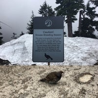 Photo taken at Grouse Mountain Ziplines by C D. on 6/11/2017