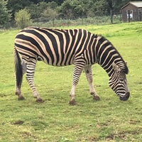 Photo taken at Cotswold Wildlife Park by Nicky on 9/30/2019