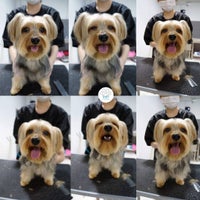 Photo taken at PGH - Pets Grooming Hotel by Groom P. on 10/30/2016