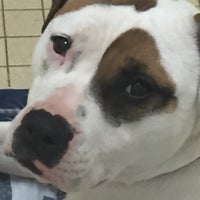 Photos At Feeders Supply Pet Store In East Louisville