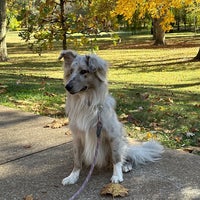 Photo taken at Tower Grove Park by Charles T. on 10/26/2022