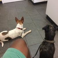 Photo taken at VCA Peachtree Animal Hospital by Charles T. on 10/26/2016