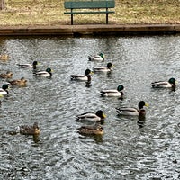 Photo taken at Willmore Park by Charles T. on 1/16/2023