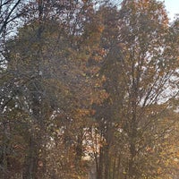 Photo taken at Forest Park by Charles T. on 11/15/2023