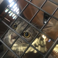 Photo taken at FACE Low-Cost Spay/Neuter Clinic by Charles T. on 5/29/2019