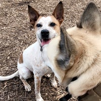 Photo taken at Piedmont Park Dog Park by Charles T. on 4/3/2018