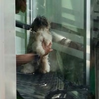 assumpta dog and cat clinic