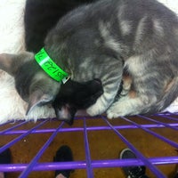 Animal House Naturals Pet Center 274 37th Ave N