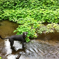 Photo taken at Lobos Creek by Monica F. on 4/7/2013