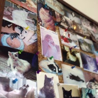 Foto tirada no(a) Especially Cats Veterinary Hospital por Ari B. em 9/21/2013