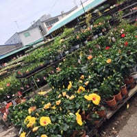 三貴フラワーセンター ペット館 Pet Store
