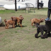 Photo taken at Dog run by とんにゃん on 4/27/2014
