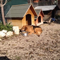 Foto diambil di Rifugio della Sezione di L&#39;Aquila della Lega Nazionale per la Difesa del Cane oleh Maurizio B. pada 11/1/2013