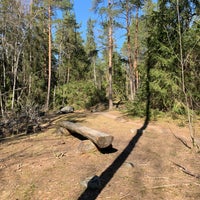 Photo taken at Haltialan aarnimetsäalue by Aapo R. on 4/21/2019