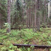 Photo taken at Haltialan aarnimetsäalue by Aapo R. on 9/7/2019