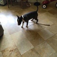 yorba regional animal hospital hours