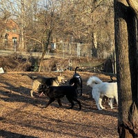 Photo taken at Oakhurst Dog Park by Ed A. on 2/2/2024