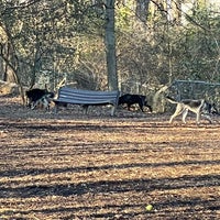 Photo taken at Oakhurst Dog Park by Ed A. on 1/30/2024