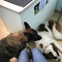 Photo taken at InTown Animal Hospital by Ed A. on 3/27/2018