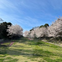 泉南市農業公園 花咲きファーム 泉南市 大阪府