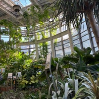 渋谷区 ふれあい植物センター Jardin Botanico En 渋谷区