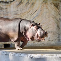 Photo taken at Hippopotamus by かなた は. on 1/13/2020