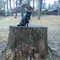 Photos At Knotty Pine Cabins Motel