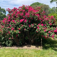 Photo taken at Whetstone Park of Roses by Pete S. on 5/29/2023