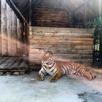 Photo taken at Oáza Sibírskeho Tigra by Niki S. on 8/6/2016