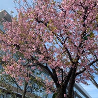 Photo taken at 桜図書館 by Tenty17 on 3/6/2021