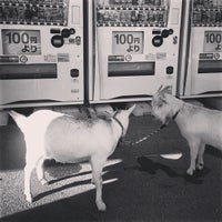 コーナン 府中四谷店 府中 府中市 東京都