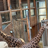 Photo taken at Riga Zoo by Amir F. on 2/18/2024