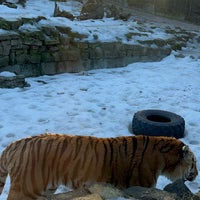 Photo taken at Riga Zoo by Amir F. on 2/18/2024