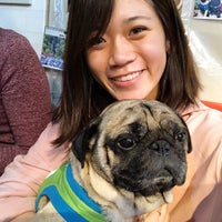 Living Room Pug Cafe Pet Cafe In Nishikyo Ku Kyoto