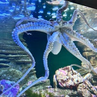 Photo taken at Aquarium by Dalton D. on 7/5/2023