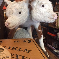 Photo taken at Obscura Antiques and Oddities by Kaylen J. on 5/14/2017