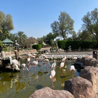 Photo taken at Al Areen Wildlife Park &amp; Reserve by Abdulmohsen 🍏 on 11/18/2023