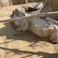 Photo taken at Al Areen Wildlife Park &amp;amp; Reserve by Abdulmohsen 🍏 on 11/18/2023