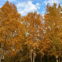 Photo taken at Yablonovsky garden (Kurgan) by Julia on 10/10/2021