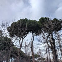Photo taken at Parco Della Resistenza dell&amp;#39;8 Settembre by Shmupi K. on 1/25/2019