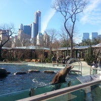 Central Park Zoo Zoo In Central Park