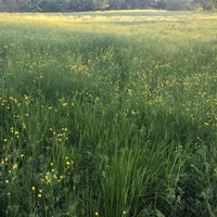 Albinea Albinea, EmiliaRomagna