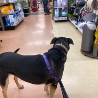 Photo taken at Petco by Wilfred W. on 4/11/2021