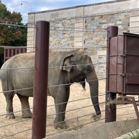 Photo taken at Elephant House by Thomas S. on 10/22/2021