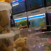 Photo taken at Pet shop SIRENA by Lupcho D. on 5/11/2016