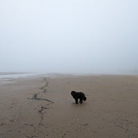 Photo taken at Montrose Beach by Zig on 1/27/2024